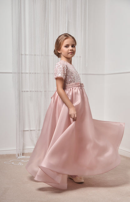 Dimond long shiny dress