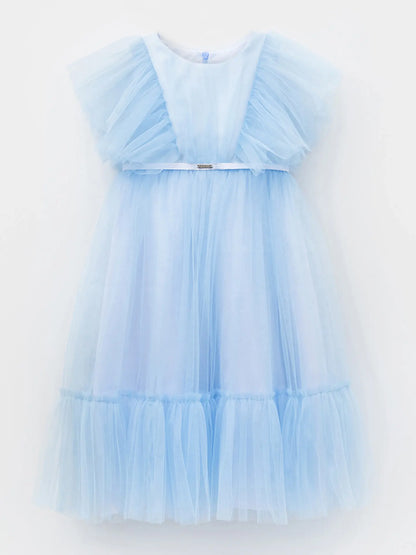 Elegant sky blue long  dress