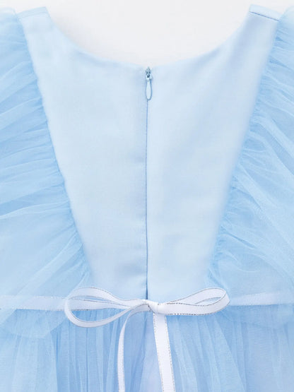 Elegant sky blue long  dress