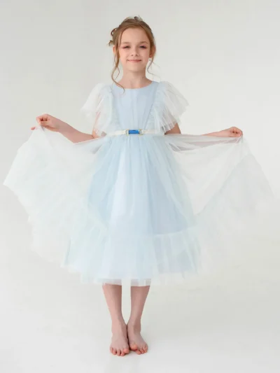 girl's dress with wide tulle dance skirt