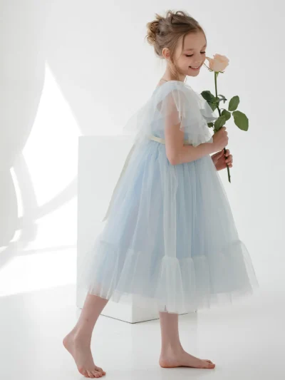 girl's dress with frills and wide tulle dance skirt