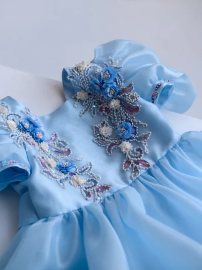 Designer Debutante, Embroidered dress for girl
